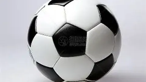 《赫斯基发声：解雇斯洛特还为时尚早，伊萨克备战加紧，力求与球队同步》