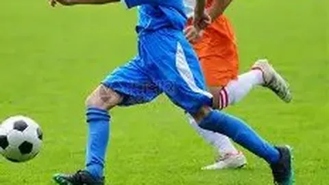 港口情怀，奥斯卡亲晒粉丝视角！揭秘球场瞬间，与你共赏激情赛事！